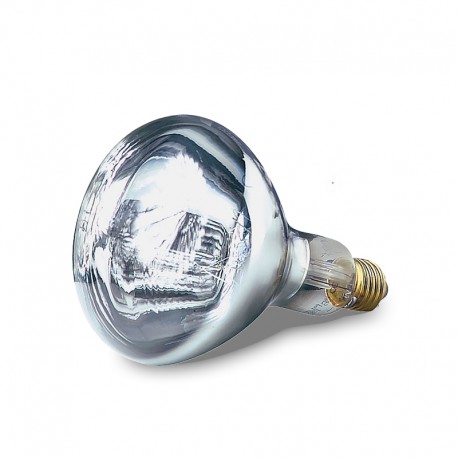 Ampoule blanche pour lampes chauffantes - LIAMP05
